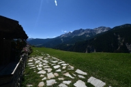 immagine annuncio 5 di 8