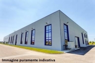 immagine annuncio 3 di 8