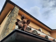 immagine annuncio 5 di 8