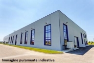 immagine annuncio 6 di 8