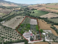 Visualizza le foto dell'immobile