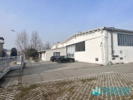immagine annuncio 7 di 8