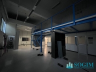 immagine annuncio 3 di 8