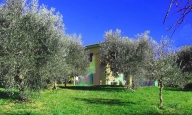 Visualizza le foto dell'immobile