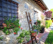 immagine annuncio 3 di 8