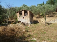 immagine annuncio 6 di 8