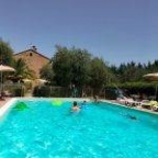 immagine annuncio 1 di 8