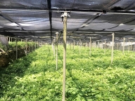 Visualizza le foto dell'immobile Visualizza le foto dell'immobile