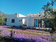 Visualizza le foto dell'immobile