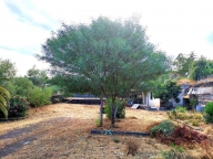 Visualizza le foto dell'immobile Visualizza le foto dell'immobile