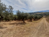 Visualizza le foto dell'immobile Visualizza le foto dell'immobile