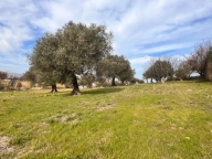 Visualizza le foto dell'immobile Visualizza le foto dell'immobile