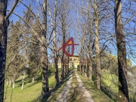 immagine annuncio 1 di 8