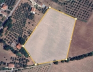 Visualizza le foto dell'immobile