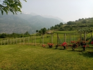 Visualizza le foto dell'immobile