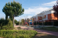 immagine annuncio 4 di 8
