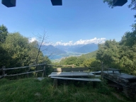 immagine annuncio 1 di 8