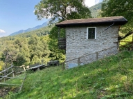 immagine annuncio 4 di 8