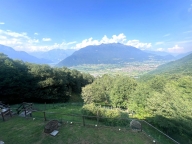 immagine annuncio 4 di 8