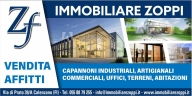 immagine annuncio 2 di 8