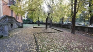 immagine annuncio 4 di 8