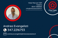 immagine annuncio 7 di 8