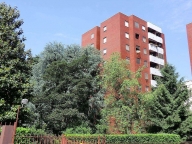 immagine annuncio 4 di 8