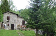 immagine annuncio 3 di 8