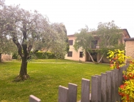 immagine annuncio 3 di 8
