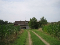 immagine annuncio 6 di 8