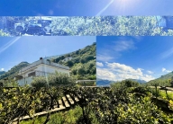 Visualizza le foto dell'immobile