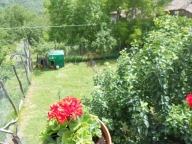 immagine annuncio 5 di 8