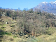 immagine annuncio 2 di 8