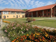 immagine annuncio 3 di 8