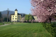 immagine annuncio 2 di 8