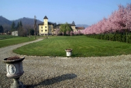 immagine annuncio 3 di 8