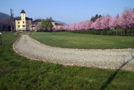 immagine annuncio 4 di 8