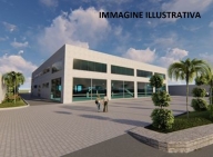 immagine annuncio 6 di 8