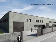 immagine annuncio 4 di 8