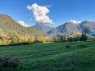 Visualizza le foto dell'immobile