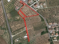 Visualizza le foto dell'immobile