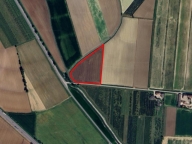 Visualizza le foto dell'immobile