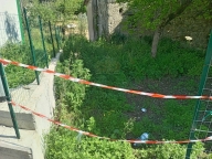 immagine annuncio 4 di 6