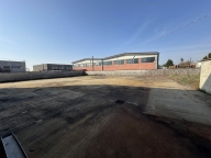 immagine annuncio 6 di 8