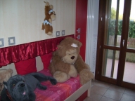 immagine annuncio 7 di 8