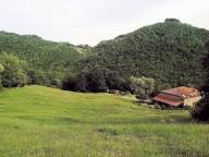 immagine annuncio 3 di 8