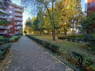 immagine annuncio 3 di 8