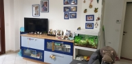 Visualizza le foto dell'immobile