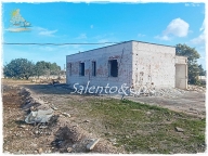 immagine annuncio 4 di 8