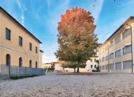 immagine annuncio 4 di 8
